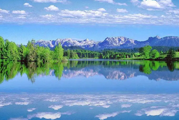 31e32e3b-077e-4a93-aa4f-1deea9e20977