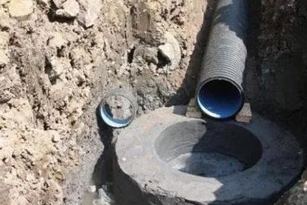 20e2c0e3-838d-4e54-a9c1-5045dad54a39